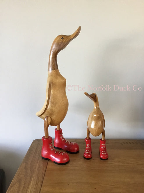 Ducks with Boots
