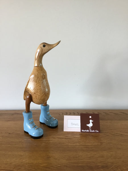 Small duck in Laced painted boots